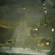 Seaweed under the seats!